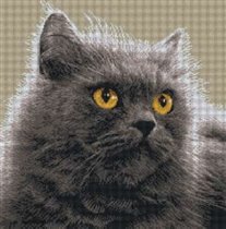 В память Васечке