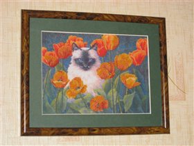 Dimensions 06863- Purrfect Poppies