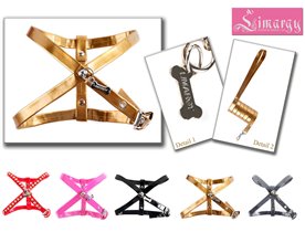 золотая шлейка