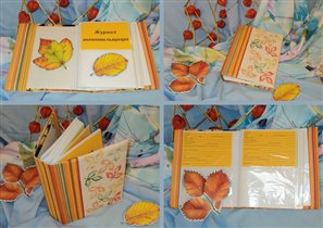 Моя проектная работа