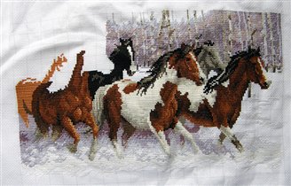 25 ноября 2011