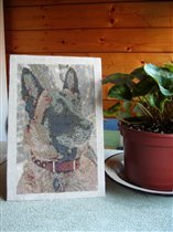 Malinua-портретс фотографии