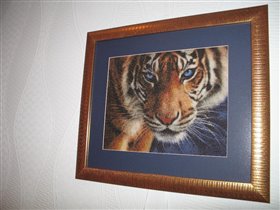 Голубоглазый тигр (вышито в конце 2010)