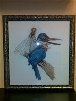 Синяя птица от Nimuё