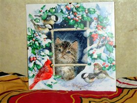 котенок от Дима