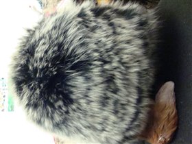 шапка мех натур. длинный новая