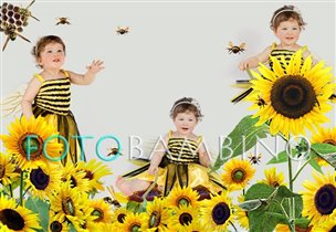 Пчелки и Подсолнухи