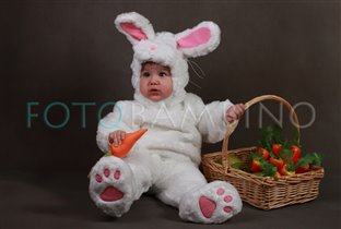 Заяц и морковки