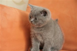 Мы уже подросли