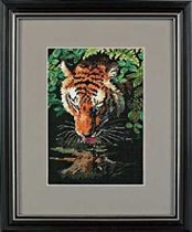 06961 Tiger Reflection