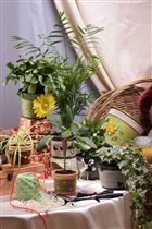 реализация идеи в интерьере