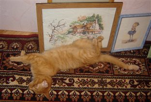 10 июля 2008 года