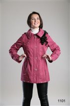 1101 Ветровка 2050