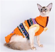Оранжевый свитер для кошки, вид сбоку