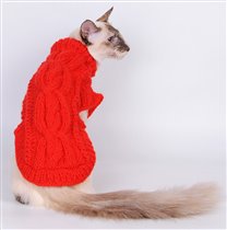 Красный свитер для кошки с косами