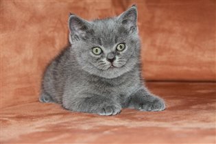 Почти как взрослый