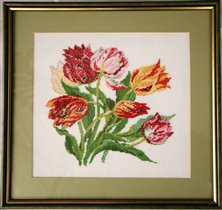 милые сердцу тюльпаны