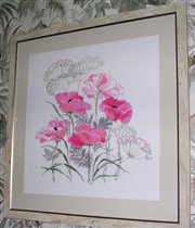 маки Риолис