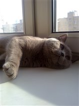 Шихану - 7 месяцев.