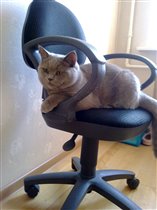 Щеки то уже со спины видно