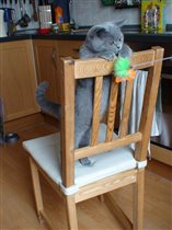 Фото прислал любящий хозяин Руслан (г. Москва)