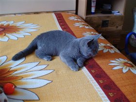 Игры - играми, но отдохнуть тоже не мешает