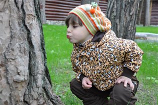 Разговаривает с муравьем