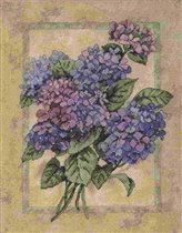 35022 Elegant Hydrangeas