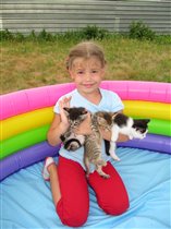 Дочь с котятами