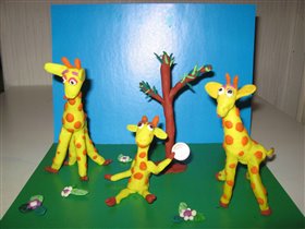 Семья жирафов 