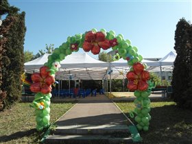 Арка с гибискусами 