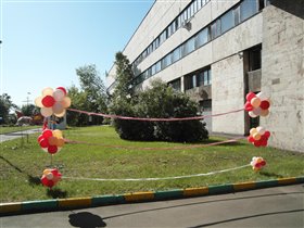 ограждающие пучки