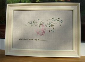 Роза № 4 Souvenir de La Malmaison - Magnuna