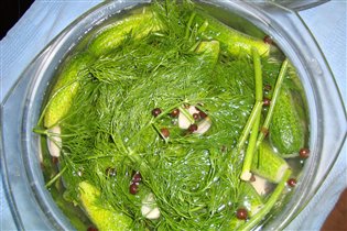 огурчики малосольные по рецепту Ники