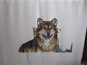 Волк.Продолжение