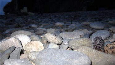 морские камушки