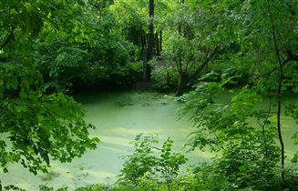 'Зеленое' озеро