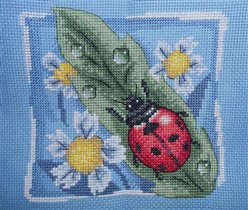 И божья коровка на зеркале