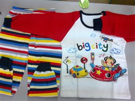 арт.505, 5 лет