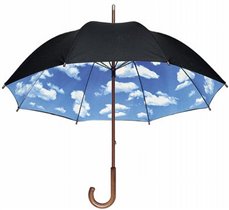 ищу зонт трость такую или подобную