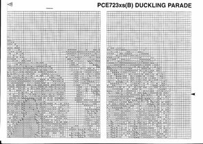 Anchor_Duckling_Parade (4)
