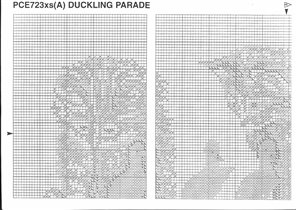 Anchor_Duckling_Parade (6)