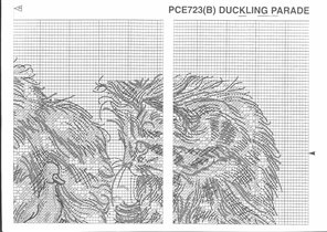 Anchor_Duckling_Parade (9)