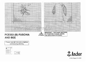 Fuchsia_and_bee (4)