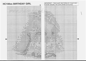 Birthday_Girl 4