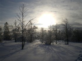 зима в Подмосковье