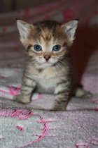 Милая крошка!