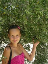 В оливковой роще