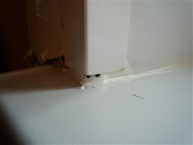 Он же, другой ракурс