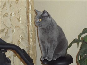 Ричарду год! Поздравляем!!!